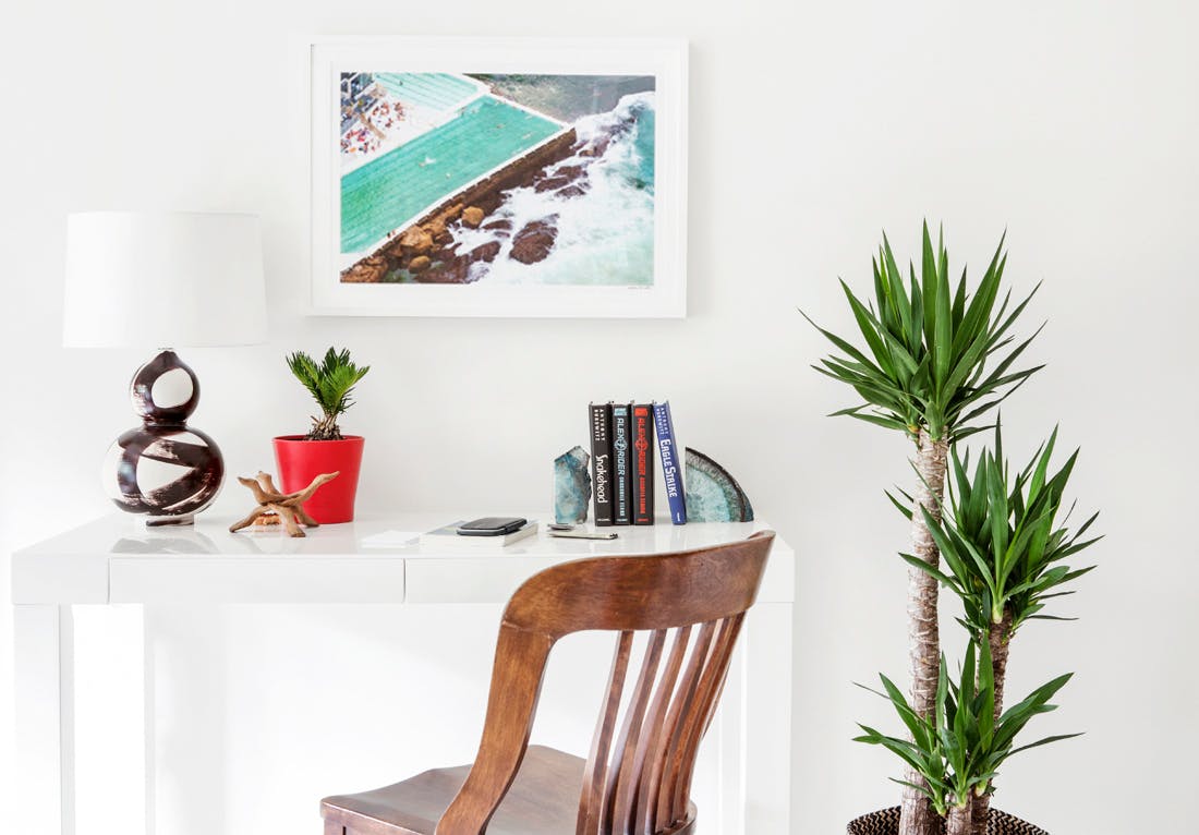 One of Gray's photographs mounted on a wall above a desk, chair and plant